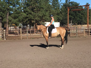 IMHA Announces 2026 Rulebook Update & Program Expansion