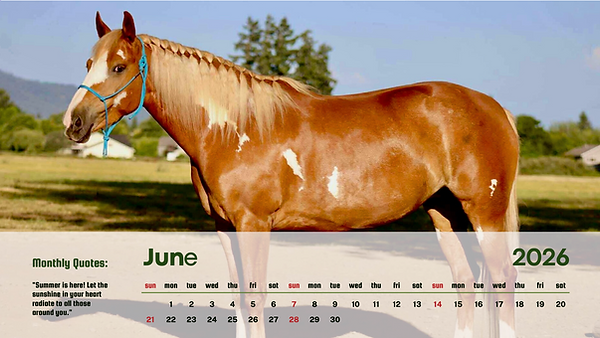 Screen Shot 2025-12-23 at 12.03.15 PM.png