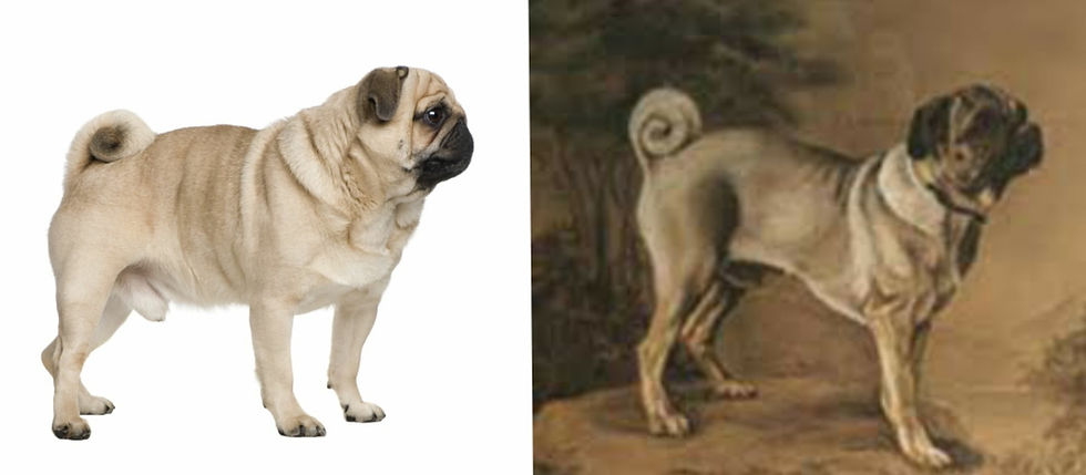 ree