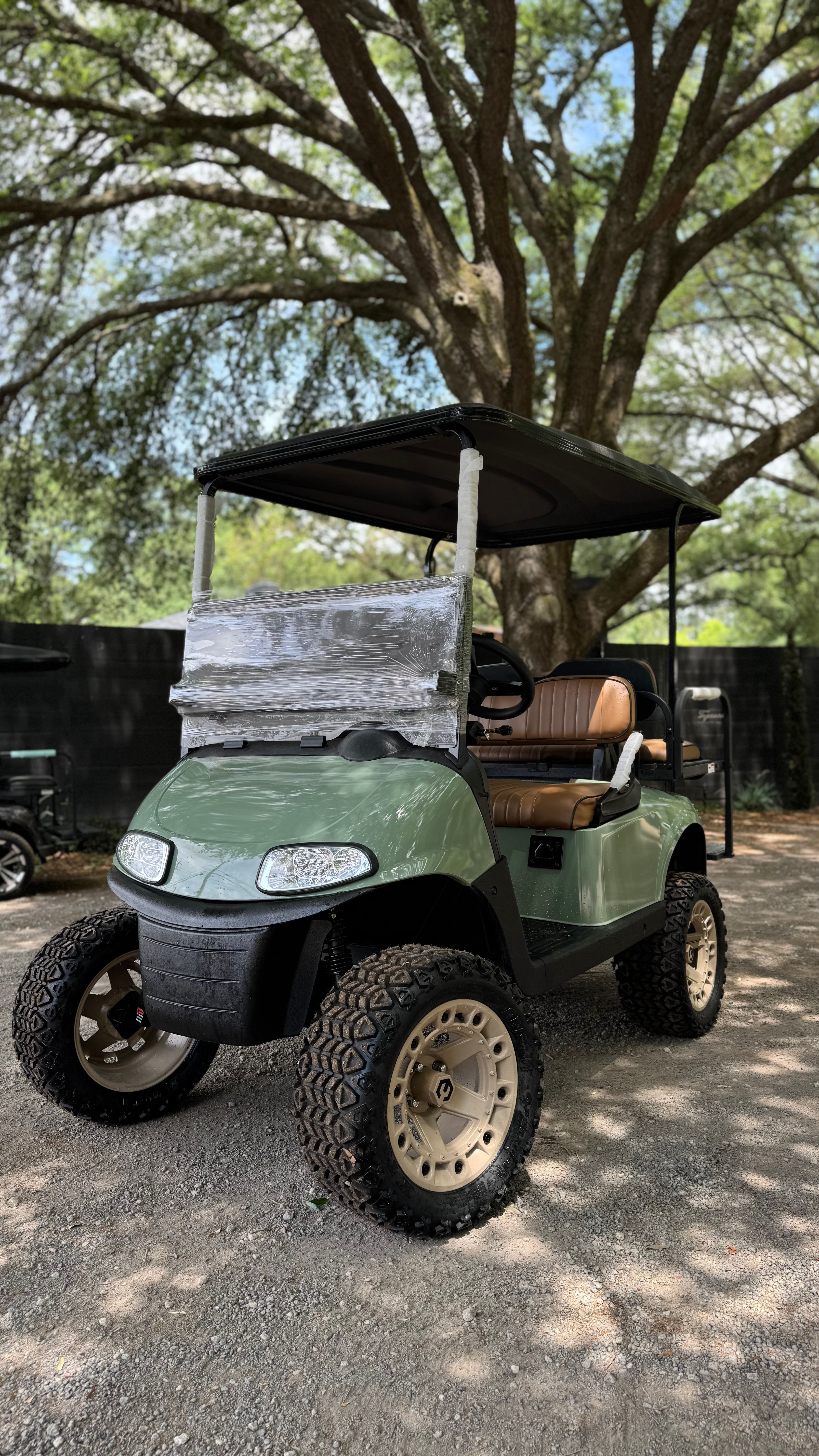 EZGO PREMIUM ELITE LITHIUM GOLF CART 48V-SAGE GREEN