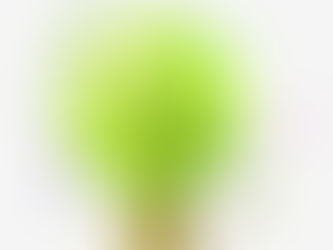 Mokytojų konsultacijos skatinant žaliąją energetiką