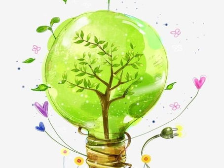 Mokytojų konsultacijos skatinant žaliąją energetiką