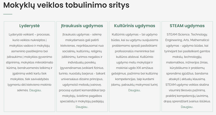 Žiburio pagrindinė mokykla, Visaginas
