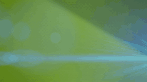 FSYBS animated logo.gif