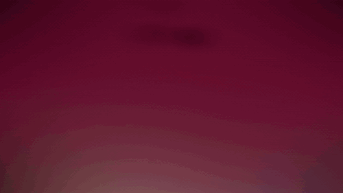 preferred animated logo gif.gif