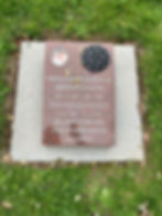 Blur-02052026-02.jpeg