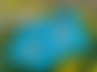 two cowboy boot quilt blocks held in front of yellow flowers