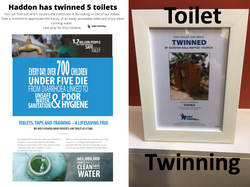 Toilet Twinning