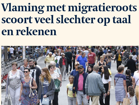 Onderwijsartikel
