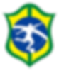 bsc_logo2_H28-removebg.png