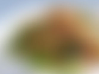 Replace unhealthy Meals for Healthy ones