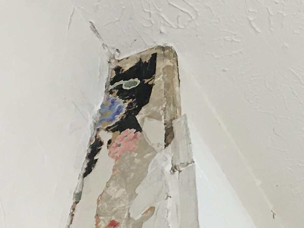 Wall Paper Removal