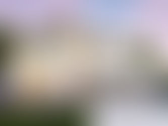 Top Insights About Austin's New Homes