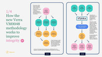 Verra's New VM0048 Methodology - Explainer
