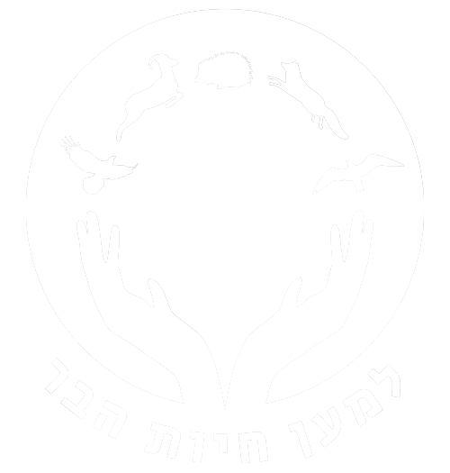 לינק לדף הבית