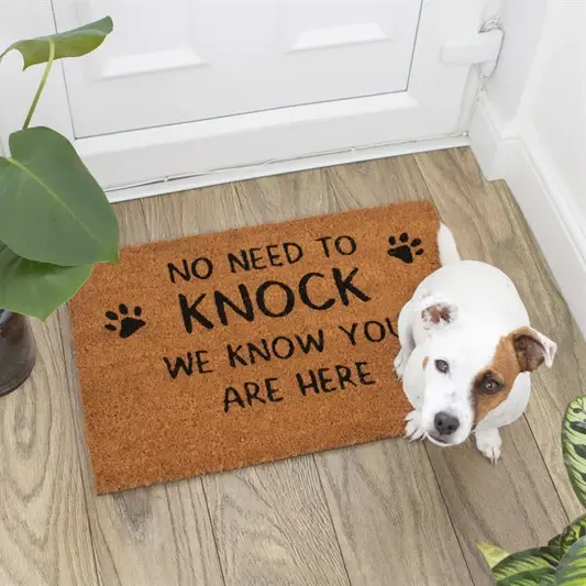 No Need To Knock Doormat