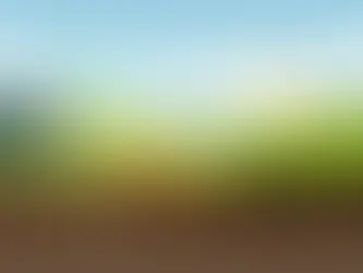 How Long Does Hydroseed Take to Grow?