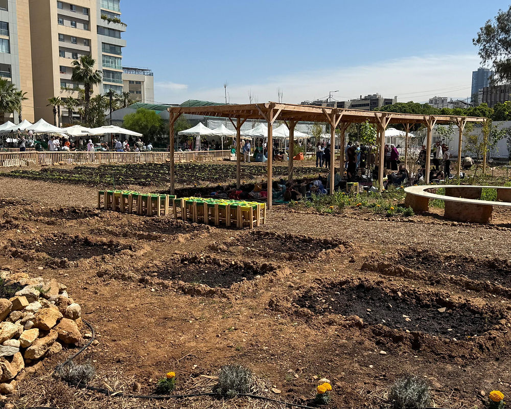 sunken beds in a city lot