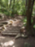 08815709-231C-4052-A0D1-426FE7AB1E6A.jpeg