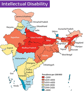 intellectual disability