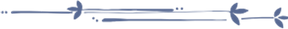 divi.png