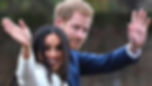 HARRY E MEGHAN SIMIAN LINE