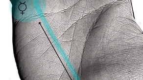 Linea di Mercurio: Interpretazione, Punti Deboli e Significato