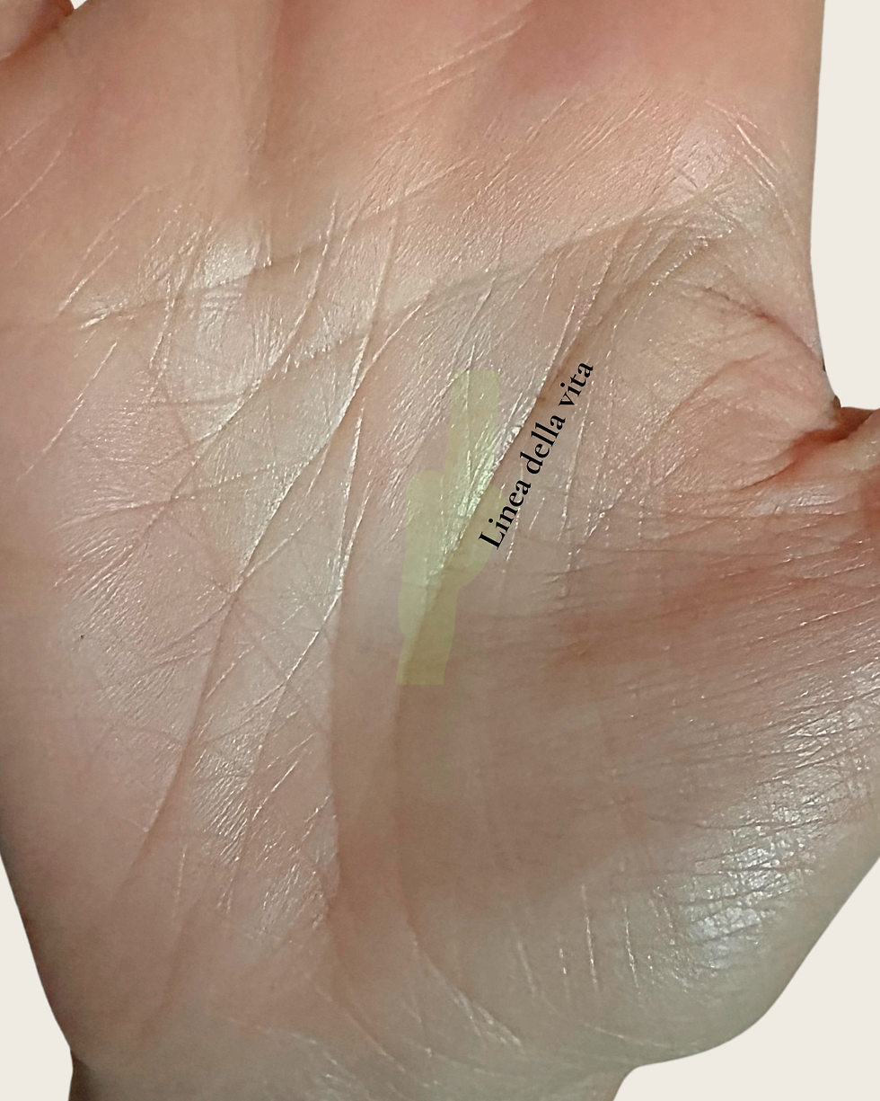 rami linea della vita