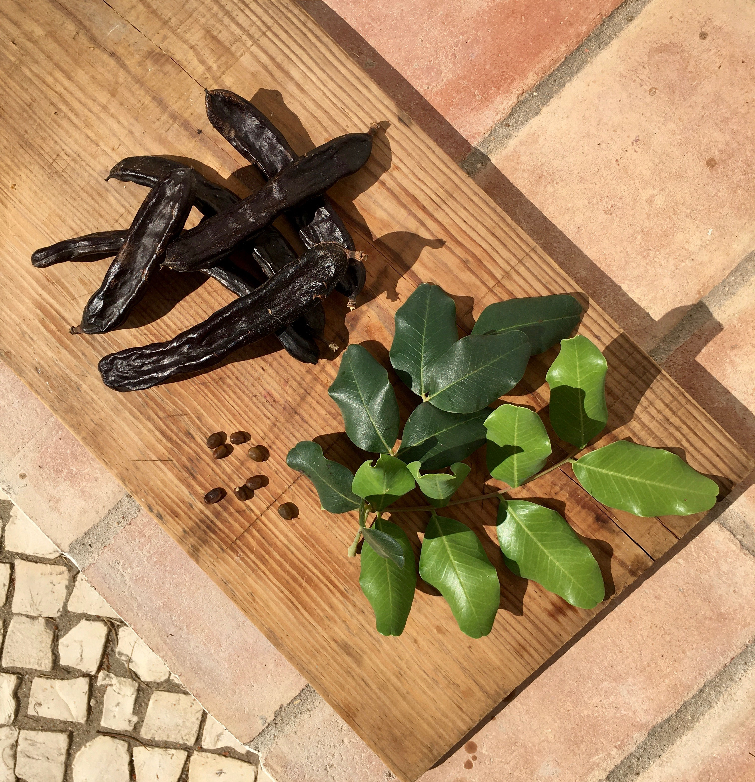Carob Pods