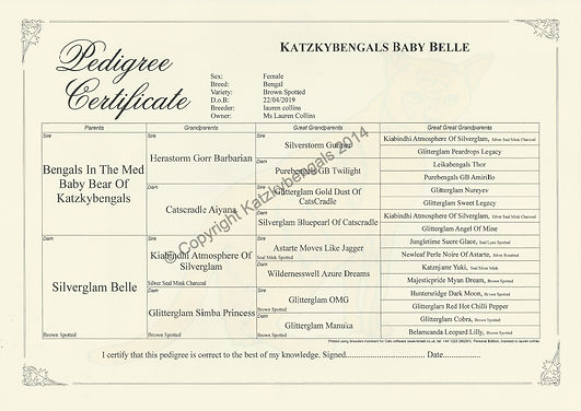 Pedigree Baby Belle_edited.jpg