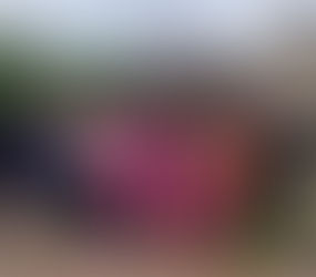 A fun-filled evening!