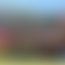 Laches Wood 2025 Album