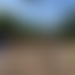 Group 1 Axe Throwing