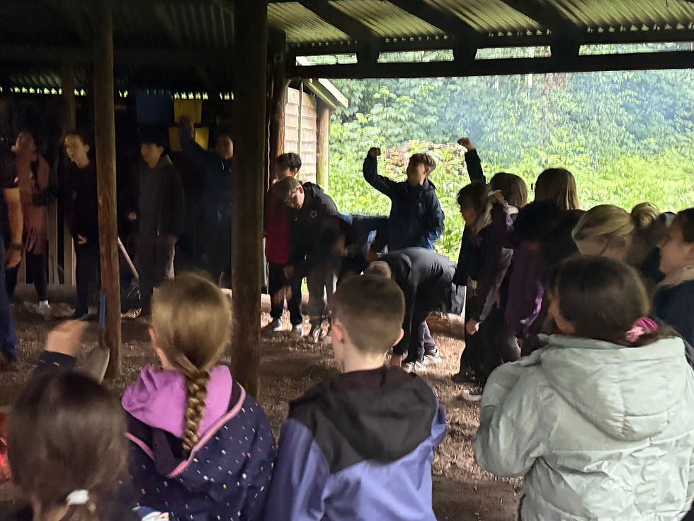 Laches Wood Day 2