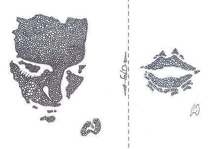 Pen And ink Drawing by Emil Gatone of Lisa Cornely