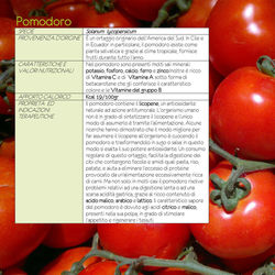 6 - scheda POMODORO