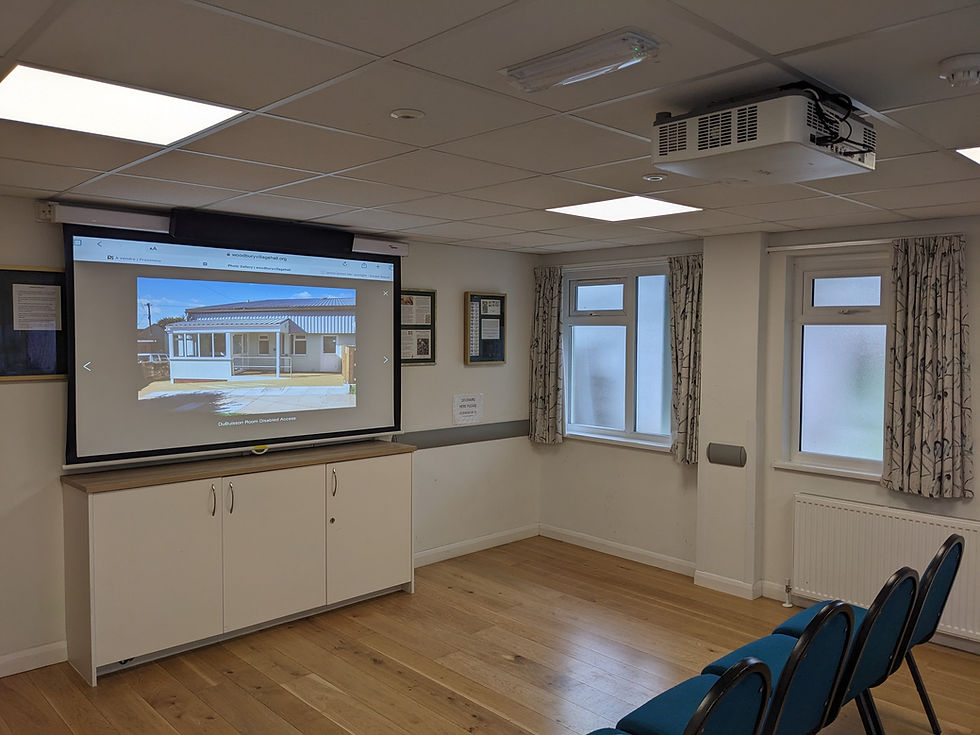 DuBuisson Room Projector & Screen