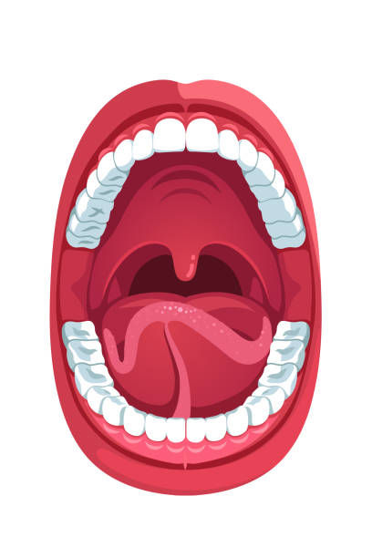 istockphoto-1024123146-612x612.jpg