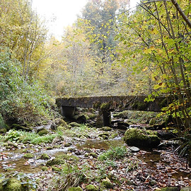 Naturfoto mit Bach und Brücke in ruhiger Umgebung