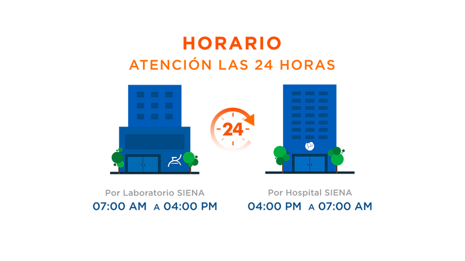 Horario SIENA.png