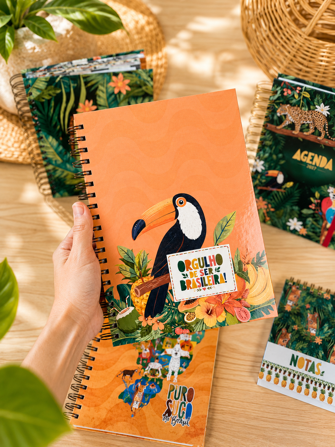 Caderno Alma Brasileira