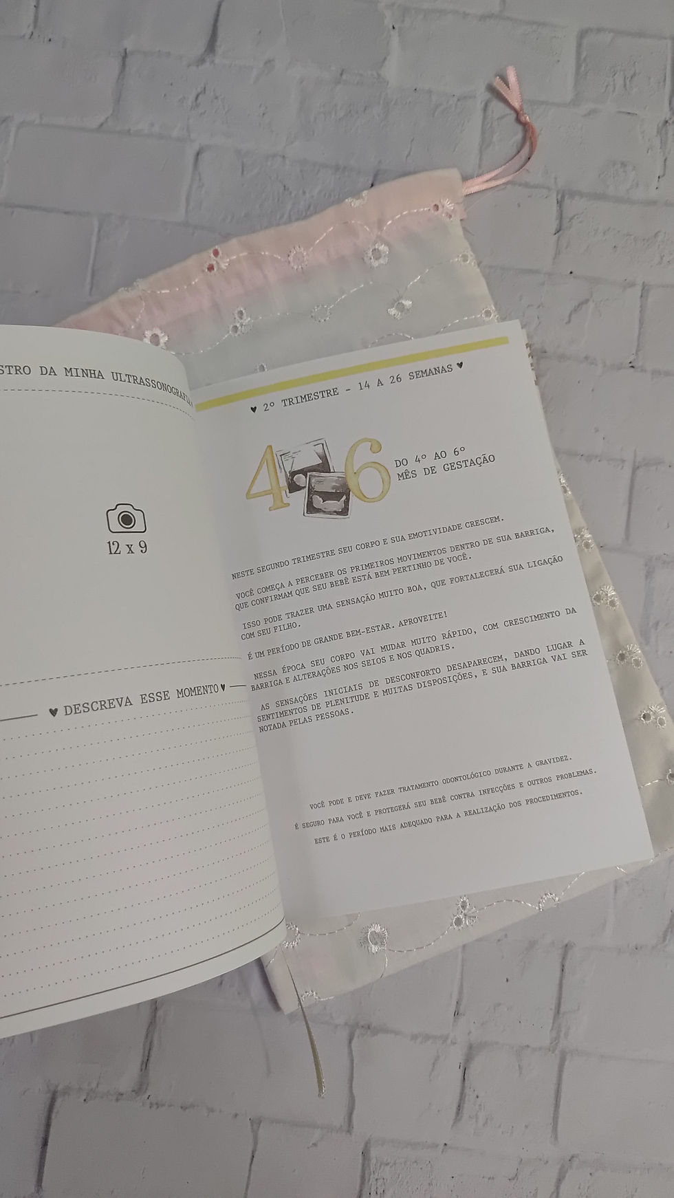 Miniatura: Diário Gestante Brochurado