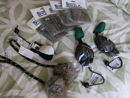 第１３回ワーキングテストご案内