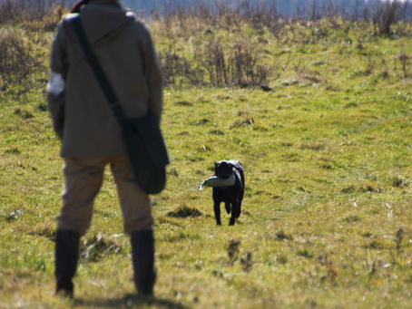 ワーキングテストは１１月１７日開催です。