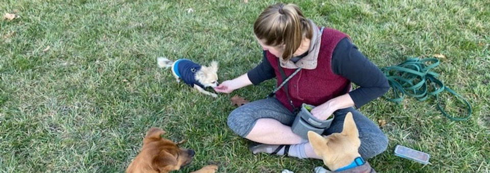 Lyndsi Training Dogs