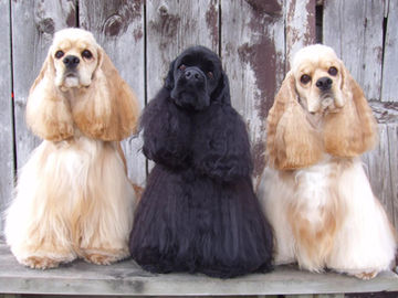 ３月３０日　仕事