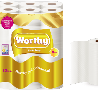 Worthy-Plus-12-paper-towel.png