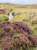 best scottish views, things to do in scotland, hike scotland