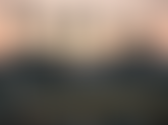 Denied Insurance Claim After Fire in Los Angeles? Here’s What to Do