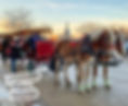 Horse drawn carriage with 2 horses decorated for the holidays